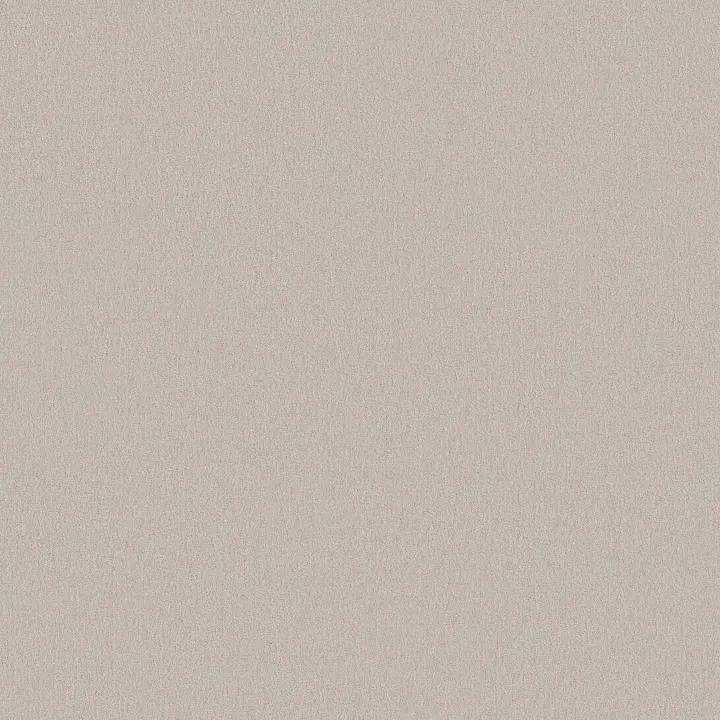 Anderson Tuftex Finery — Oyster Bar · ZZ351-00105 — flooring selection with LeviArs Design & Remodeling