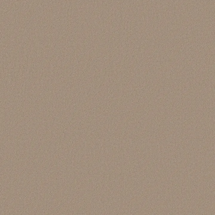 Anderson Tuftex Finery — Pebble Path · ZZ351-00701 — flooring selection with LeviArs Design & Remodeling
