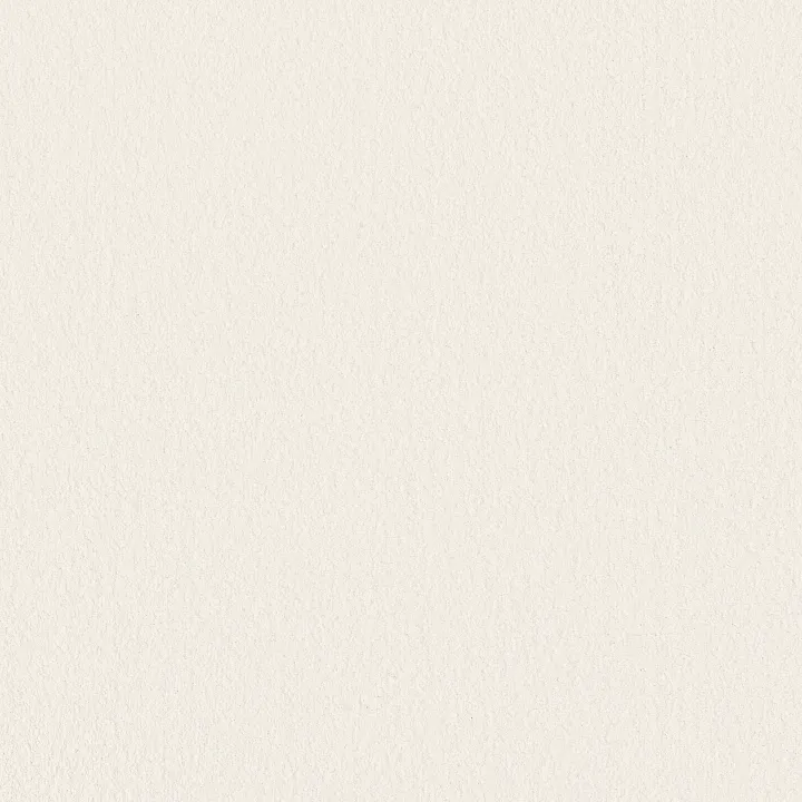 Anderson Tuftex Finery — Pure White · ZZ351-00150 — flooring selection with LeviArs Design & Remodeling