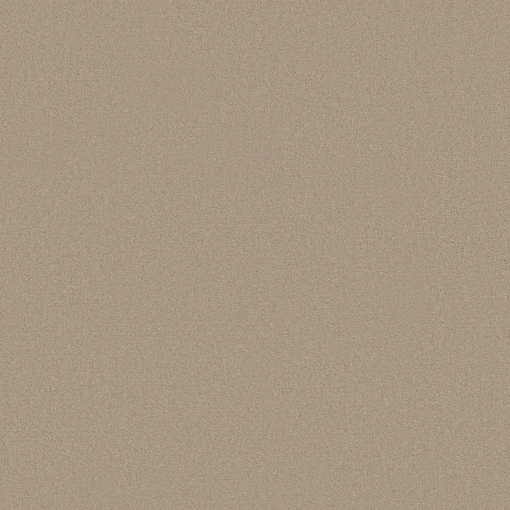 Anderson Tuftex Finery — Sand Bar · ZZ351-00158 — flooring selection with LeviArs Design & Remodeling