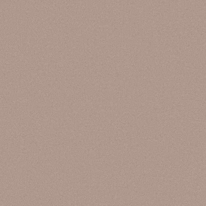 Anderson Tuftex Finery — Sweet Bloom · ZZ351-00109 — flooring selection with LeviArs Design & Remodeling