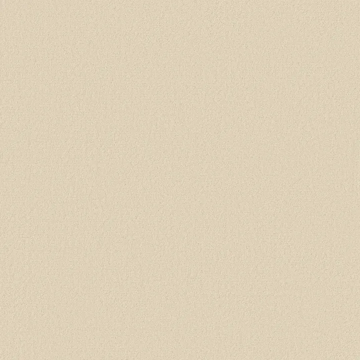 Anderson Tuftex Finery — Swiss Alps · ZZ351-00100 — flooring selection with LeviArs Design & Remodeling