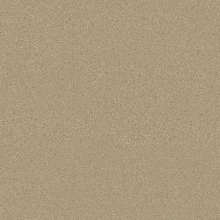 Anderson Tuftex Finery — Toasted Almond · ZZ351-00159 — flooring selection with LeviArs Design & Remodeling