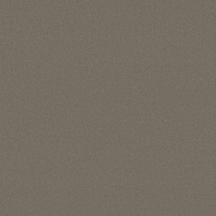 Anderson Tuftex Finery — Tortoise · ZZ351-00553 — flooring selection with LeviArs Design & Remodeling