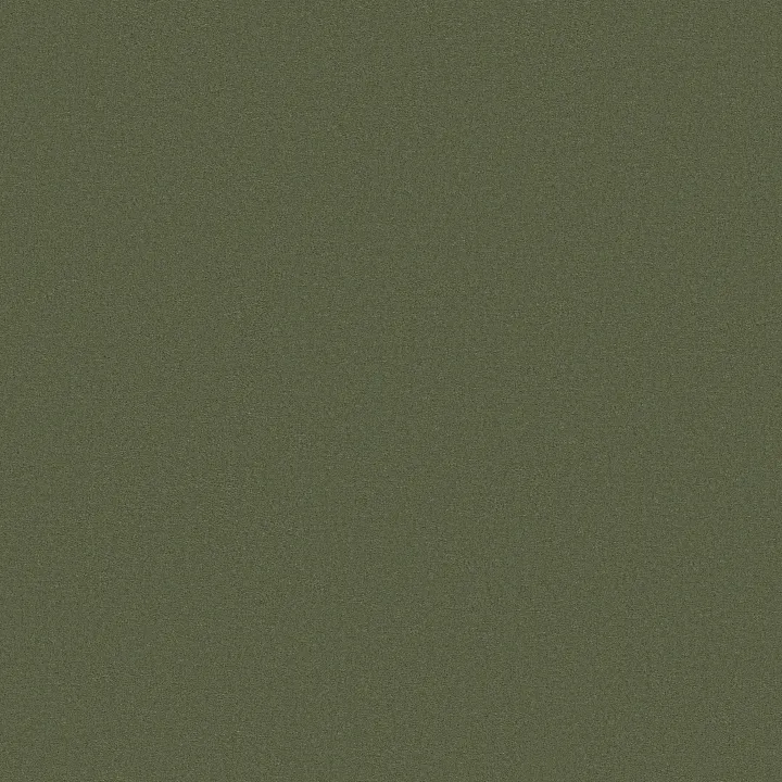 Anderson Tuftex Finery — Wilderness · ZZ351-00306 — flooring selection with LeviArs Design & Remodeling