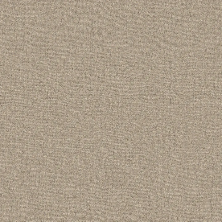 Anderson Tuftex Finesse — Ash · ZZ343-00100 — flooring selection with LeviArs Design & Remodeling