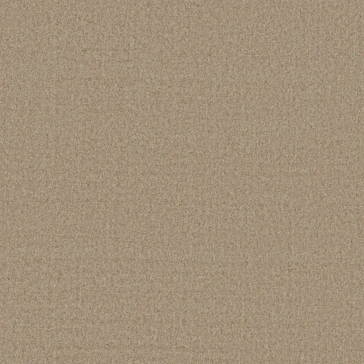 Anderson Tuftex Finesse — Stroll · ZZ343-00101 — flooring selection with LeviArs Design & Remodeling