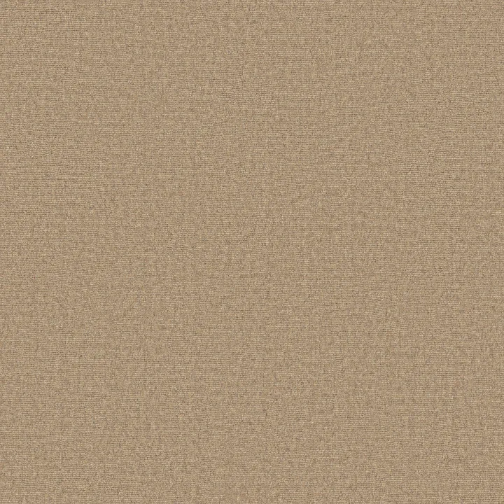 Anderson Tuftex Finesse — Sunwashed · ZZ343-00102 — flooring selection with LeviArs Design & Remodeling