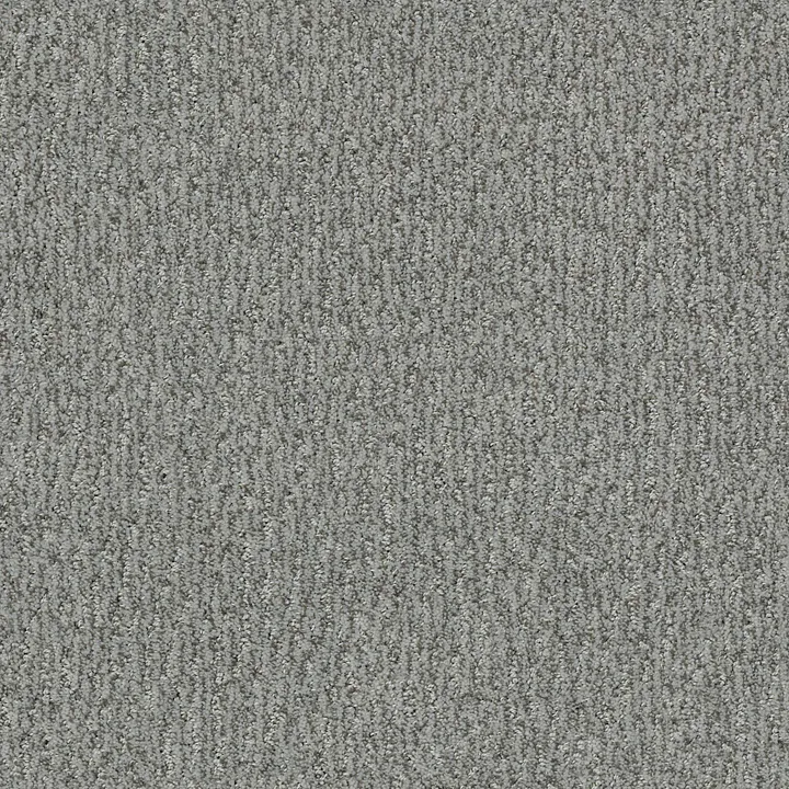 Anderson Tuftex Fur-Ever — Avon · ZZ218-00342 — flooring selection with LeviArs Design & Remodeling