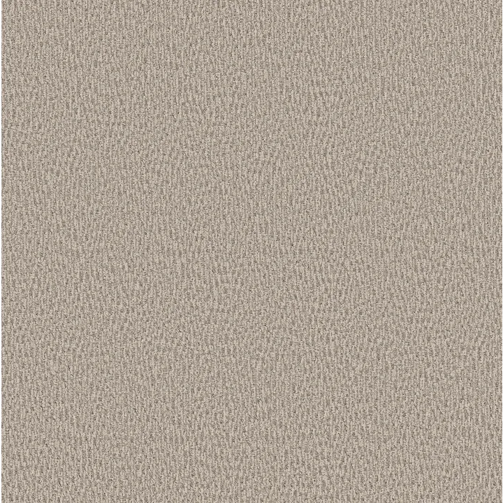 Anderson Tuftex Fur-Ever — Bennington · ZZ218-00152 — flooring selection with LeviArs Design & Remodeling