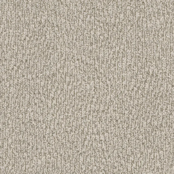 Anderson Tuftex Fur-Ever — Birch · ZZ218-00173 — flooring selection with LeviArs Design & Remodeling