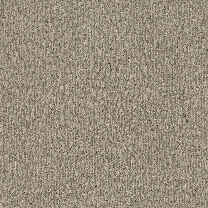 Anderson Tuftex Fur-Ever — Cloud Cover · ZZ218-00252 — flooring selection with LeviArs Design & Remodeling