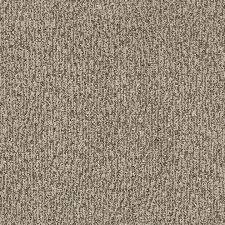 Anderson Tuftex Fur-Ever — Danville · ZZ218-00273 — flooring selection with LeviArs Design & Remodeling
