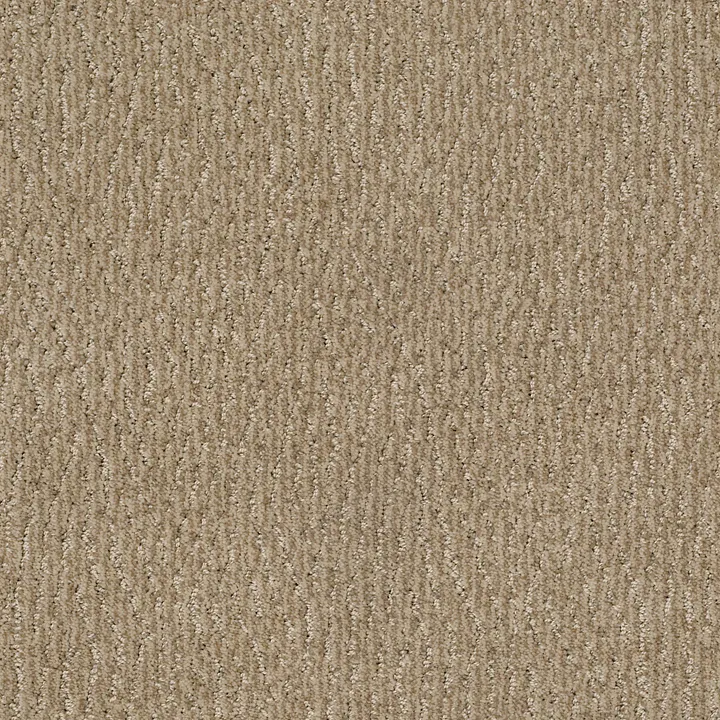 Anderson Tuftex Fur-Ever — Mystic · ZZ218-00274 — flooring selection with LeviArs Design & Remodeling