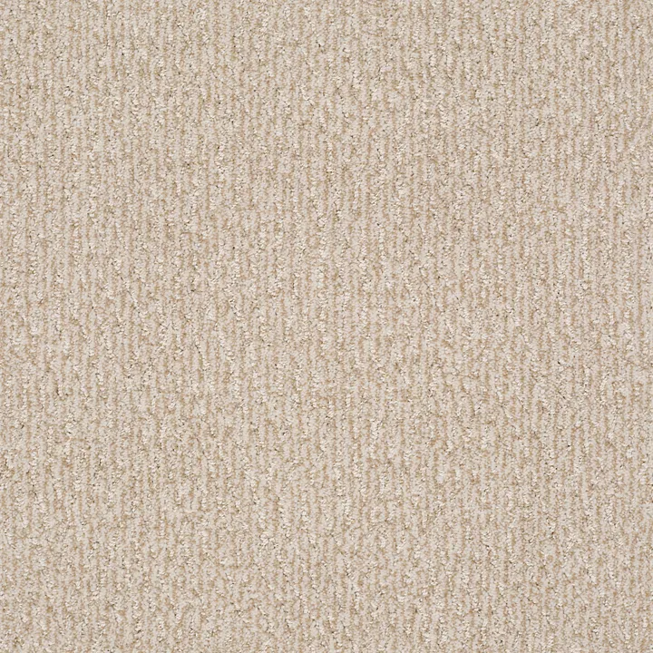 Anderson Tuftex Fur-Ever — Old Country · ZZ218-00122 — flooring selection with LeviArs Design & Remodeling