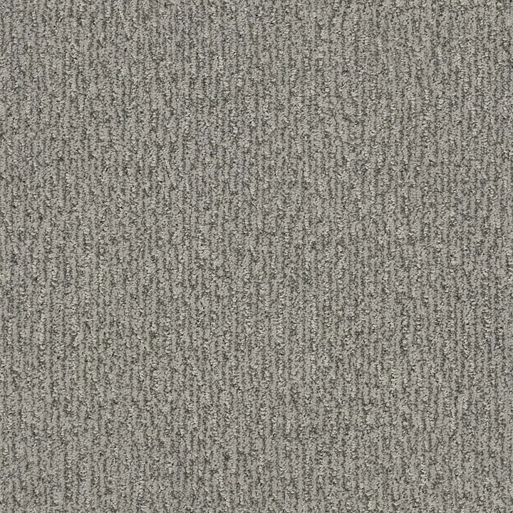 Anderson Tuftex Fur-Ever — Rockport · ZZ218-00556 — flooring selection with LeviArs Design & Remodeling