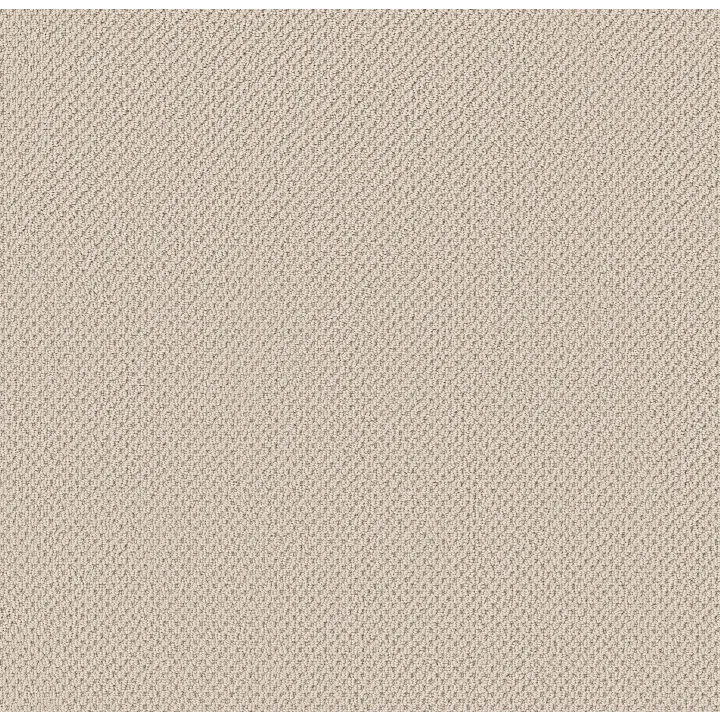 Anderson Tuftex Gracious — Alabaster · ZZ325-00172 — flooring selection with LeviArs Design & Remodeling