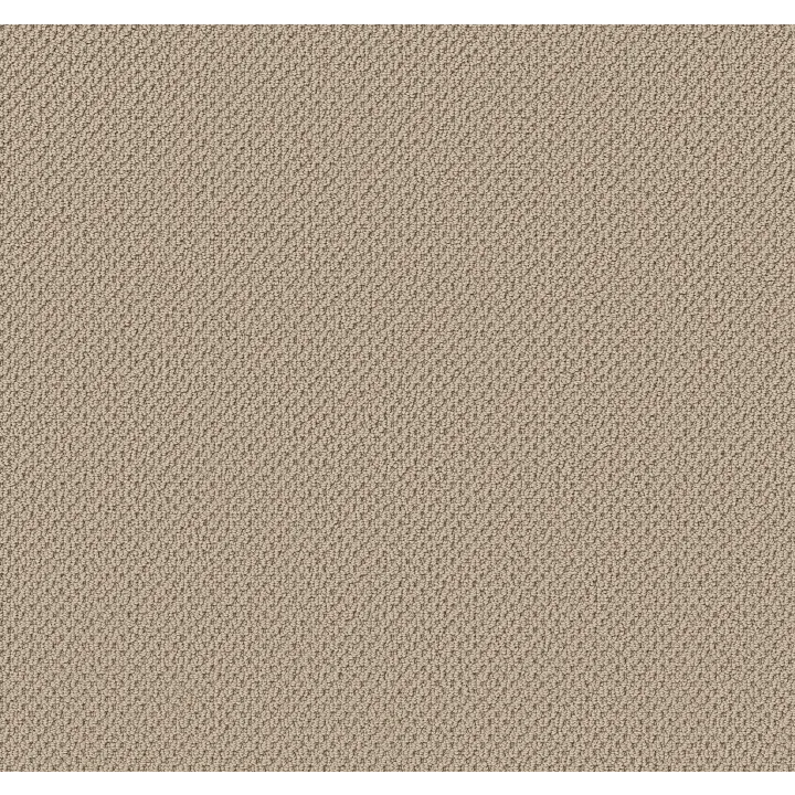 Anderson Tuftex Gracious — Barista · ZZ325-00151 — flooring selection with LeviArs Design & Remodeling