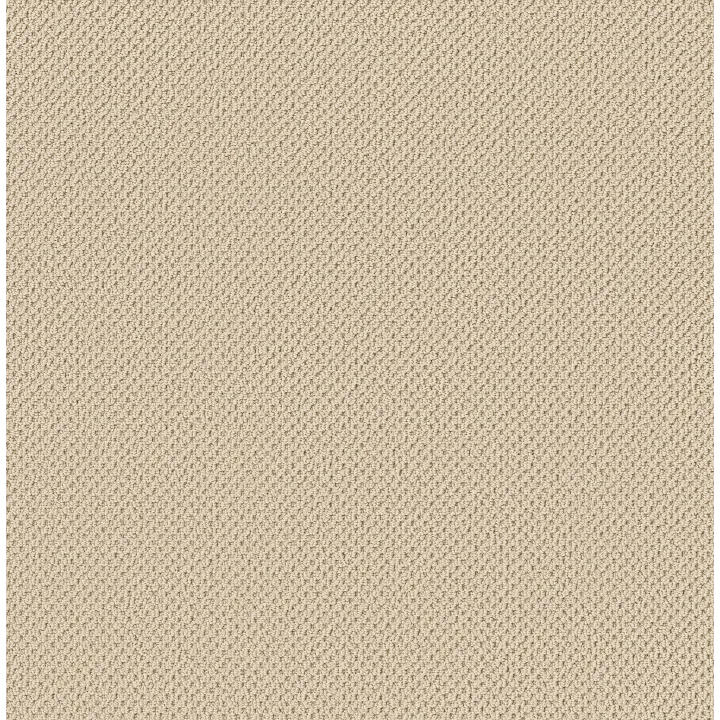 Anderson Tuftex Gracious — Creamy · ZZ325-00140 — flooring selection with LeviArs Design & Remodeling