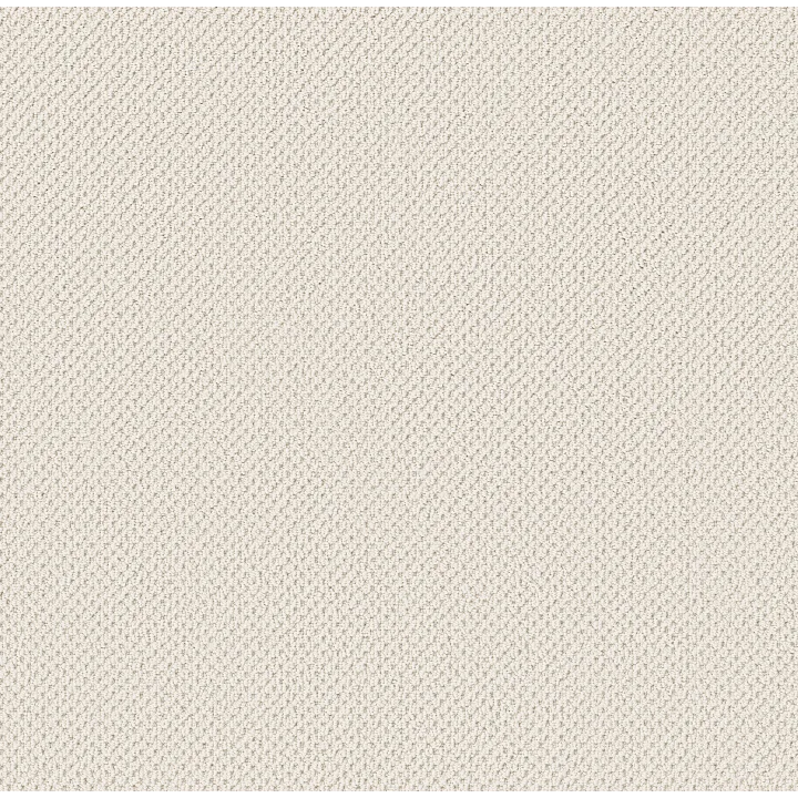 Anderson Tuftex Gracious — Crisp Linen · ZZ325-00171 — flooring selection with LeviArs Design & Remodeling