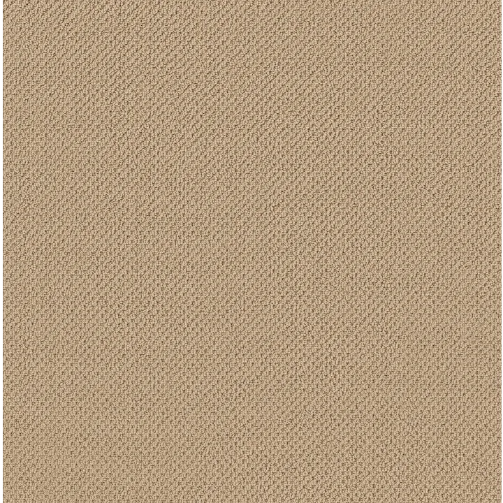 Anderson Tuftex Gracious — Golden Rule · ZZ325-00201 — flooring selection with LeviArs Design & Remodeling