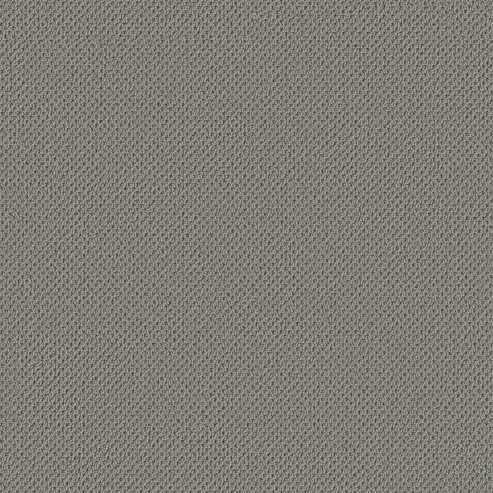 Anderson Tuftex Gracious — Iron Mountain · ZZ325-00541 — flooring selection with LeviArs Design & Remodeling