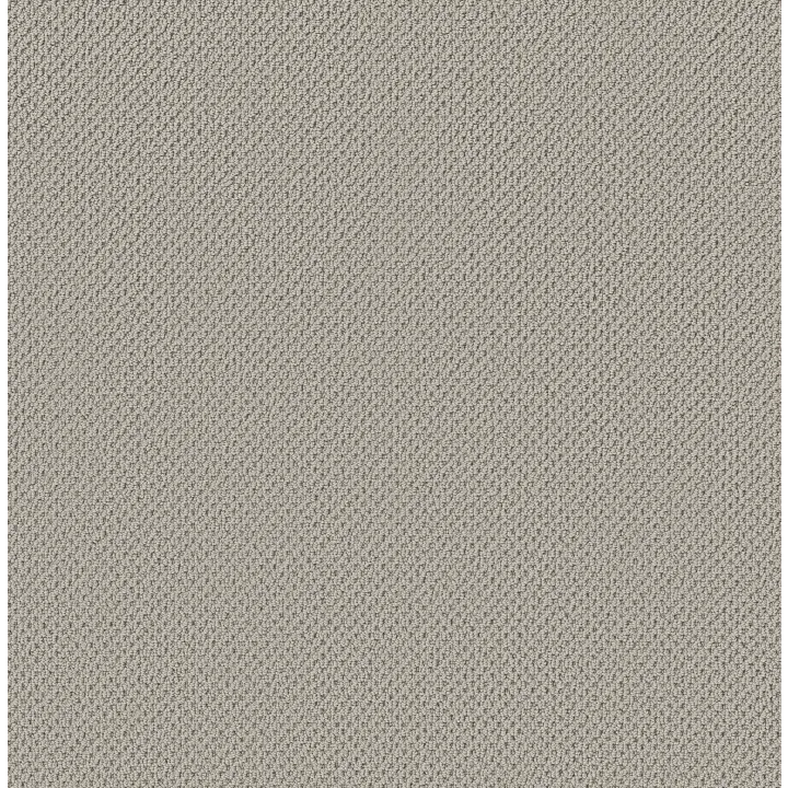 Anderson Tuftex Gracious — Mist · ZZ325-00540 — flooring selection with LeviArs Design & Remodeling