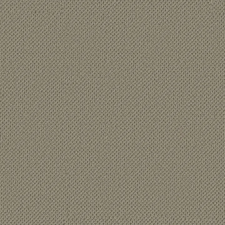 Anderson Tuftex Gracious — Mocha · ZZ325-00750 — flooring selection with LeviArs Design & Remodeling
