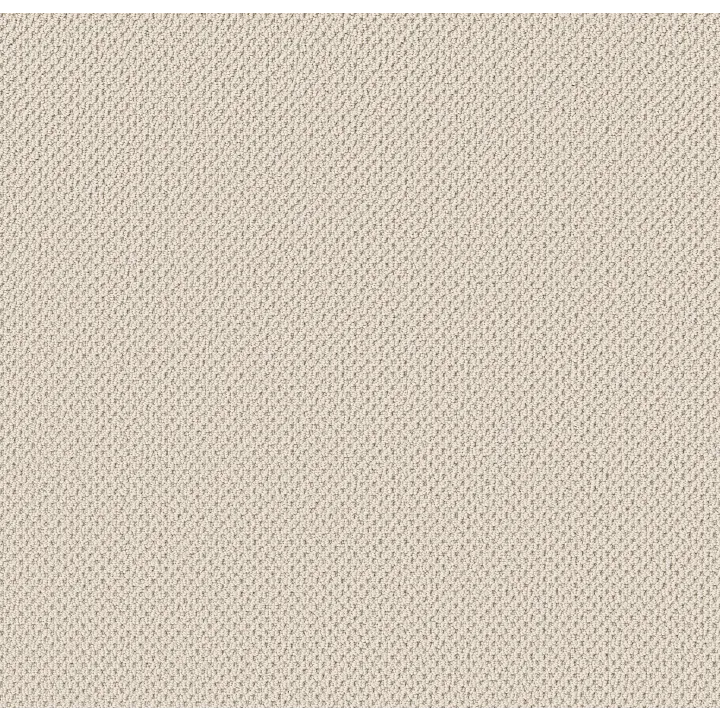 Anderson Tuftex Gracious — Parchment · ZZ325-00194 — flooring selection with LeviArs Design & Remodeling