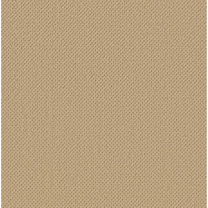 Anderson Tuftex Gracious — Plateau · ZZ325-00142 — flooring selection with LeviArs Design & Remodeling