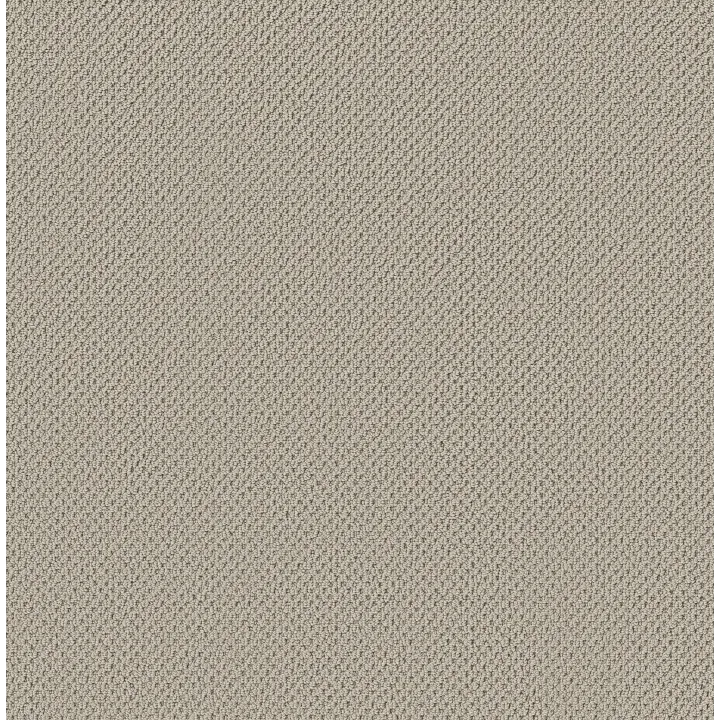 Anderson Tuftex Gracious — Pumice Stone · ZZ325-00143 — flooring selection with LeviArs Design & Remodeling