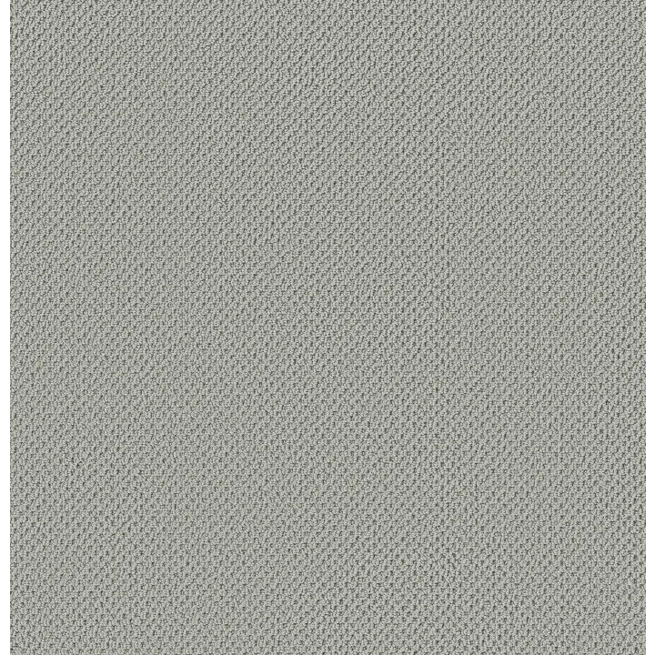Anderson Tuftex Gracious — Rain Water · ZZ325-00440 — flooring selection with LeviArs Design & Remodeling
