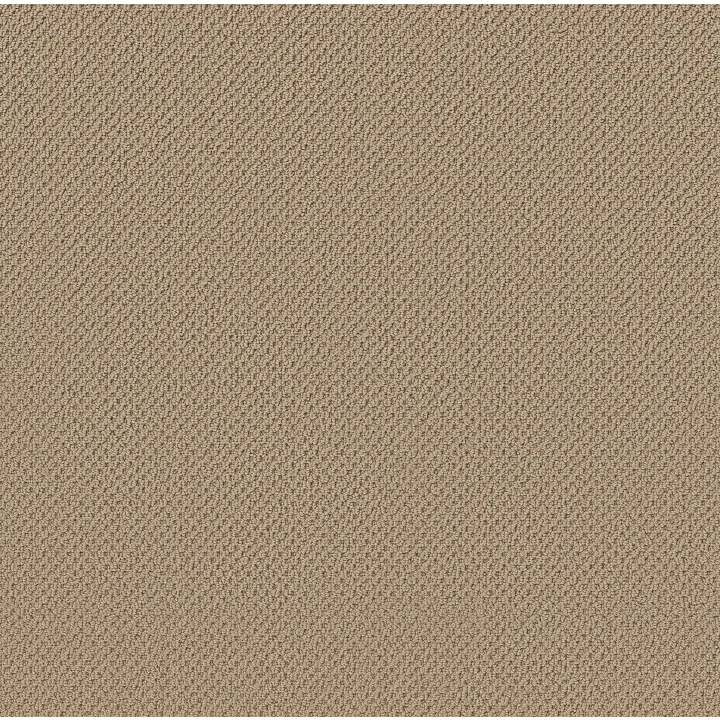 Anderson Tuftex Gracious — Safari · ZZ325-00105 — flooring selection with LeviArs Design & Remodeling