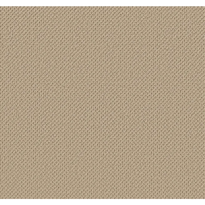 Anderson Tuftex Gracious — Shoreline · ZZ325-00133 — flooring selection with LeviArs Design & Remodeling
