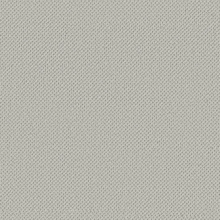 Anderson Tuftex Gracious — Silver Strand · ZZ325-00490 — flooring selection with LeviArs Design & Remodeling