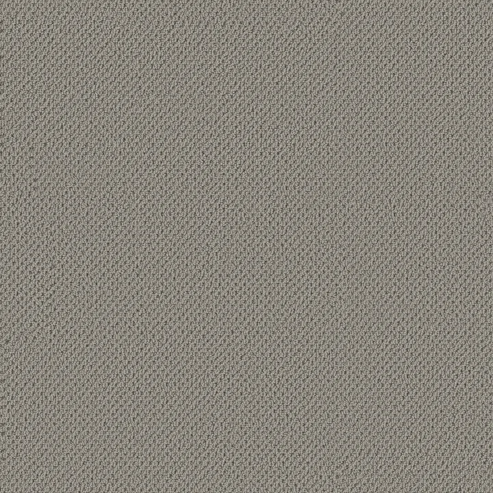 Anderson Tuftex Gracious — Slate · ZZ325-00570 — flooring selection with LeviArs Design & Remodeling