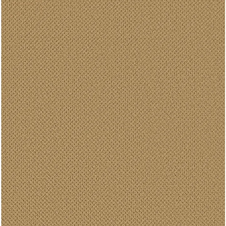 Anderson Tuftex Gracious — Summer · ZZ325-00240 — flooring selection with LeviArs Design & Remodeling