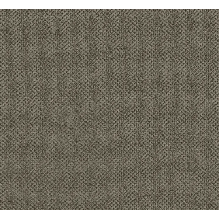 Anderson Tuftex Gracious — Thunder · ZZ325-00340 — flooring selection with LeviArs Design & Remodeling