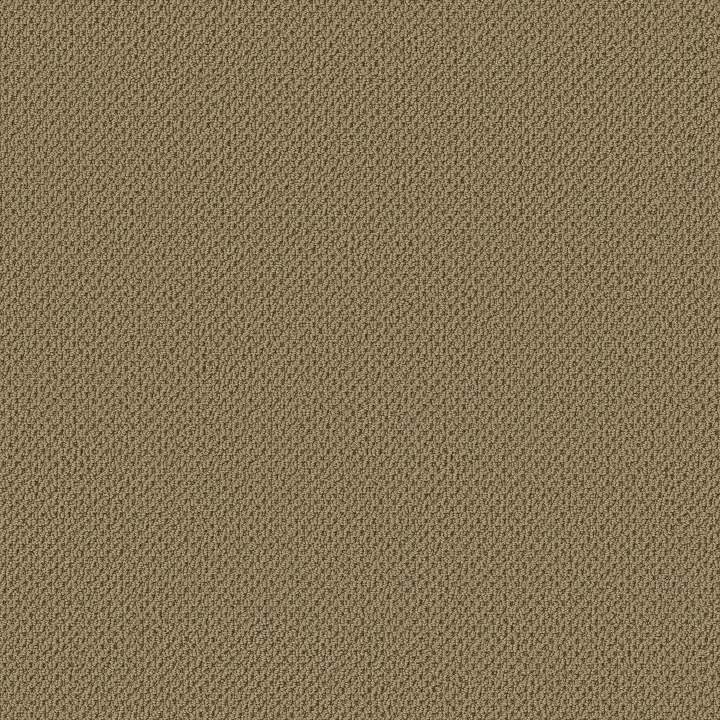 Anderson Tuftex Gracious — Warmth · ZZ325-00702 — flooring selection with LeviArs Design & Remodeling