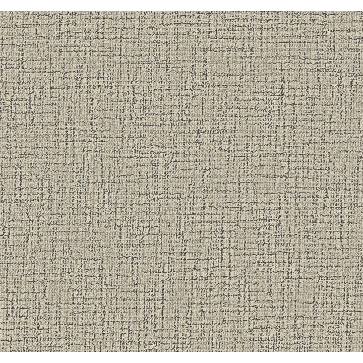 Anderson Tuftex Haptic — Grasscloth · ZZ349-00104 — flooring selection with LeviArs Design & Remodeling