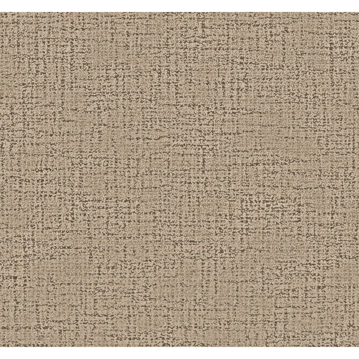 Anderson Tuftex Haptic — Trail · ZZ349-00103 — flooring selection with LeviArs Design & Remodeling