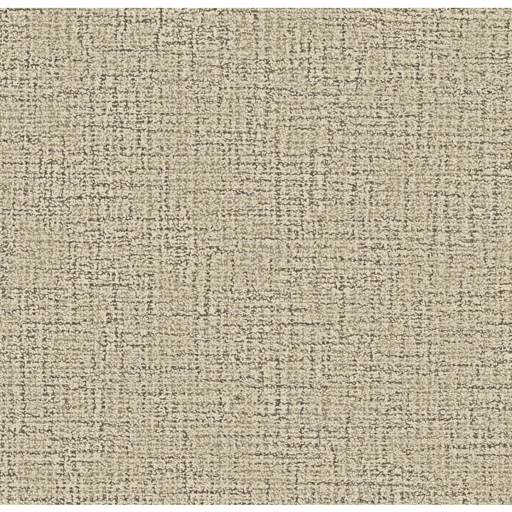 Anderson Tuftex Haptic — Valley · ZZ349-00100 — flooring selection with LeviArs Design & Remodeling