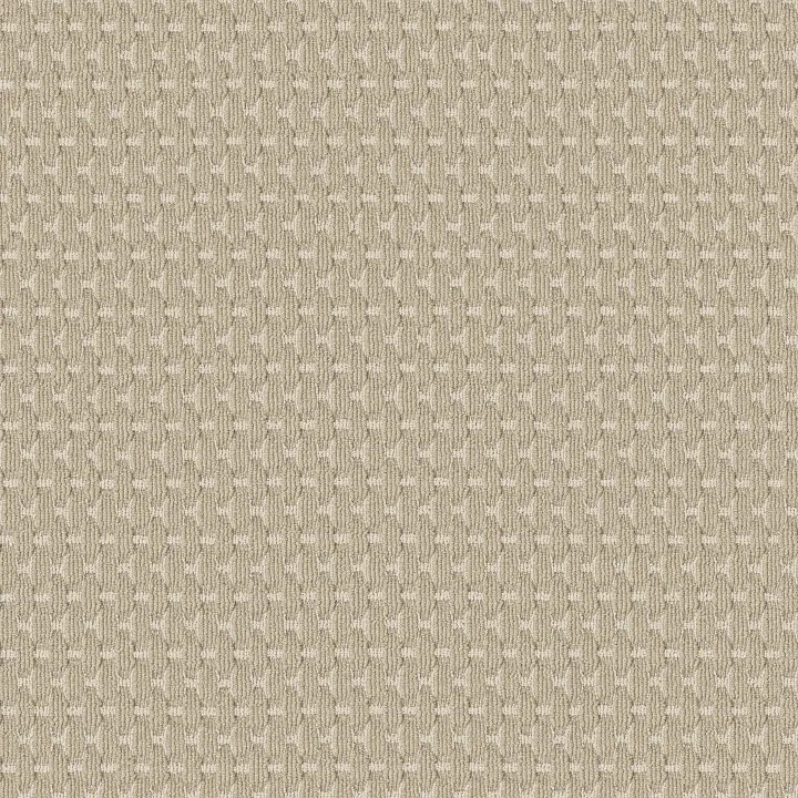 Anderson Tuftex Havencrest — Basalt · ZZ318-00221 — flooring selection with LeviArs Design & Remodeling