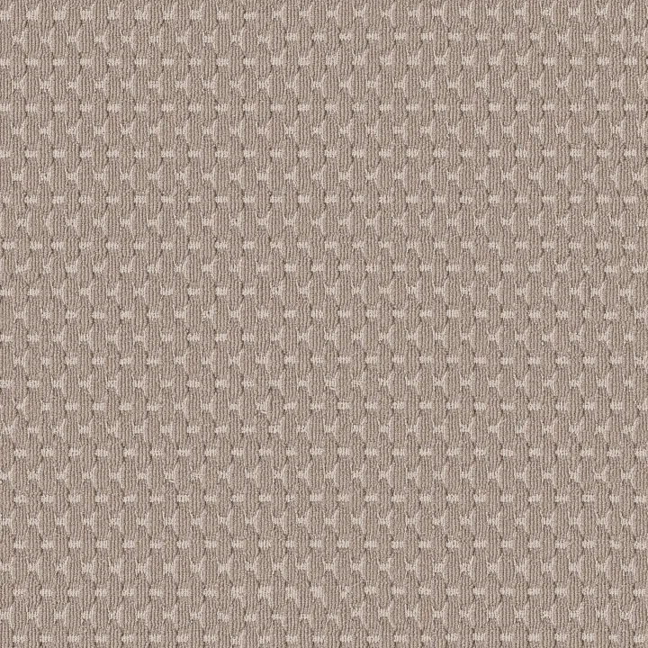 Anderson Tuftex Havencrest — Blossom · ZZ318-00881 — flooring selection with LeviArs Design & Remodeling