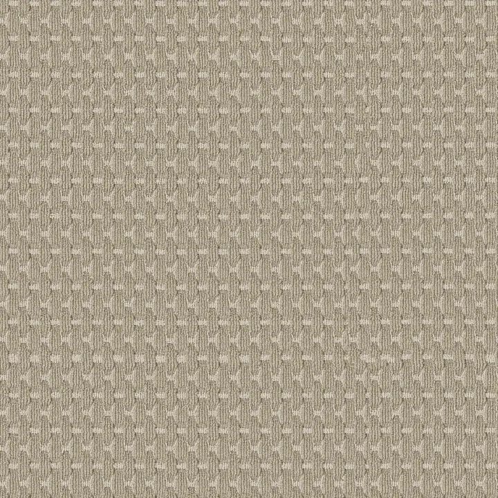 Anderson Tuftex Havencrest — Cashmere · ZZ318-00114 — flooring selection with LeviArs Design & Remodeling