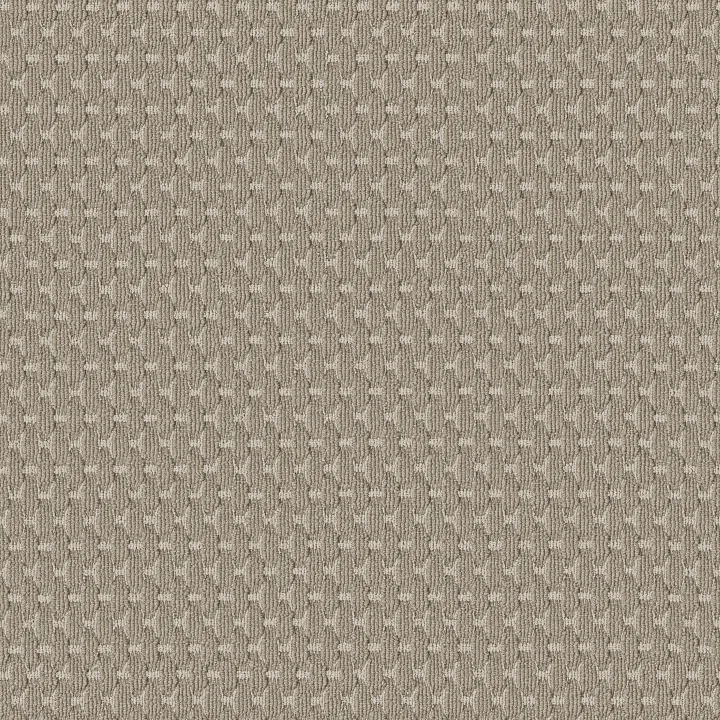 Anderson Tuftex Havencrest — Gypsum · ZZ318-00171 — flooring selection with LeviArs Design & Remodeling