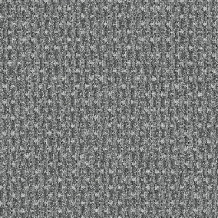 Anderson Tuftex Havencrest — Haze · ZZ318-00443 — flooring selection with LeviArs Design & Remodeling