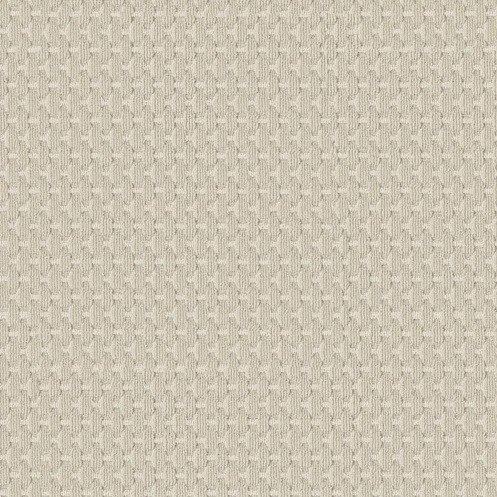Anderson Tuftex Havencrest — Ivory · ZZ318-00112 — flooring selection with LeviArs Design & Remodeling