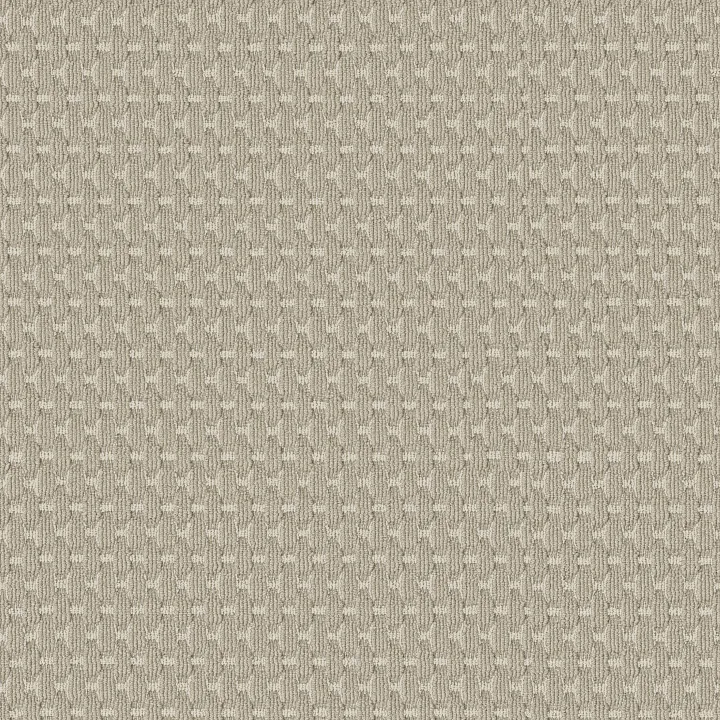 Anderson Tuftex Havencrest — Jute · ZZ318-00115 — flooring selection with LeviArs Design & Remodeling