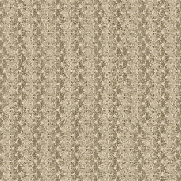 Anderson Tuftex Havencrest — Raffia · ZZ318-00214 — flooring selection with LeviArs Design & Remodeling